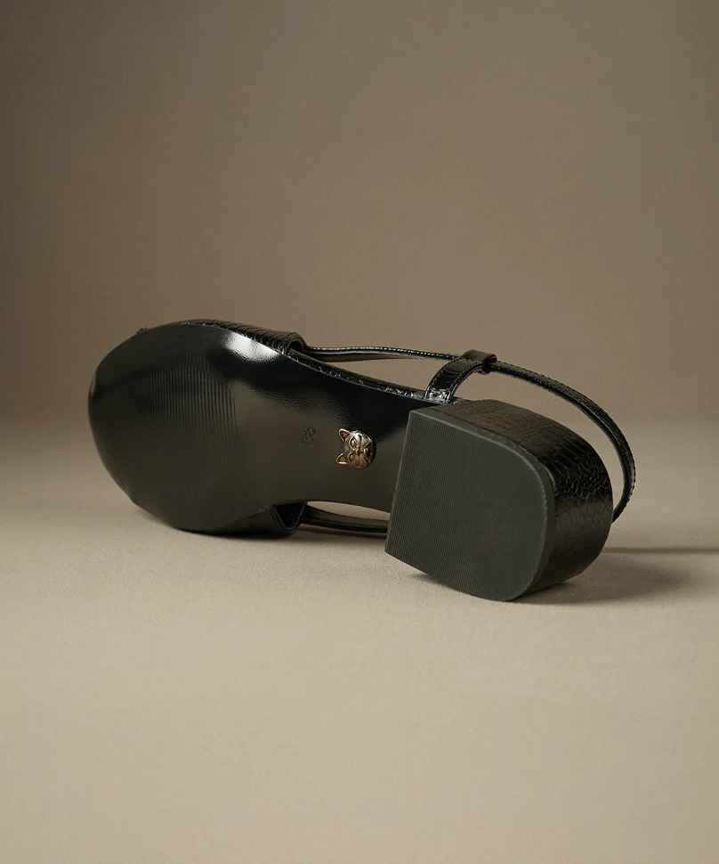 Pugs Black - Image 5